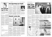 Síða 5