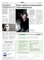 Síða 17