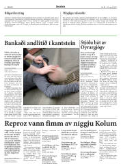 Síða 6