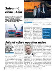 Síða 6