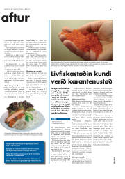 Síða 27