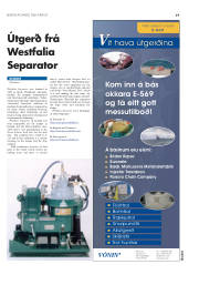 Síða 41