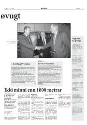 Síða 7