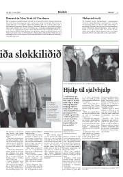 Síða 11