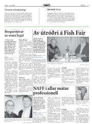 Síða 17