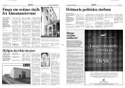 Síða 3