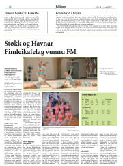 Síða 28