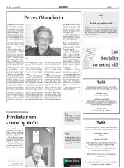 Síða 13