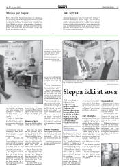 Síða 17