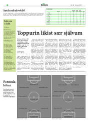 Síða 32