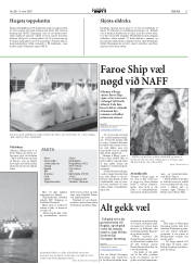 Síða 11