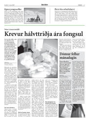 Síða 13