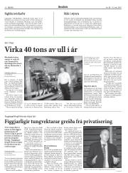 Síða 10