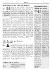 Síða 13