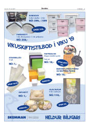 Síða 5