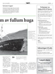 Síða 11