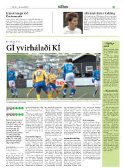 Síða 21