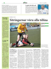 Síða 22