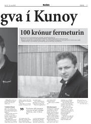 Síða 17