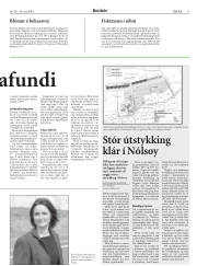 Síða 11