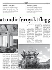 Síða 17