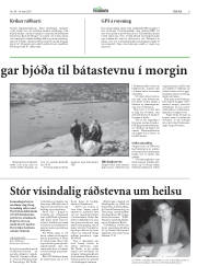 Síða 9