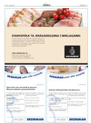 Síða 27