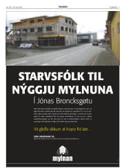Síða 3