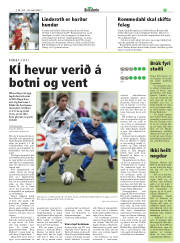 Síða 29