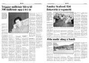 Síða 6