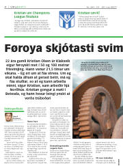 Síða 4