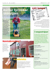 Síða 13