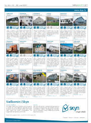 Síða 29