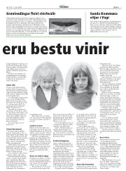 Síða 6
