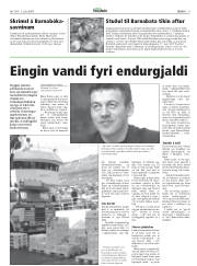 Síða 8