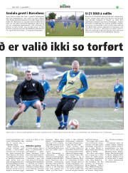 Síða 20