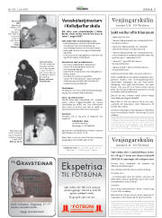 Síða 46