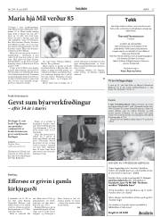 Síða 15