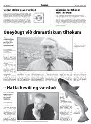 Síða 14