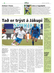 Síða 32
