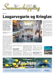 Síða 43