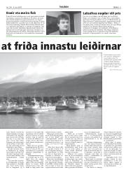 Síða 11