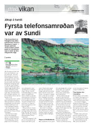 Síða 17