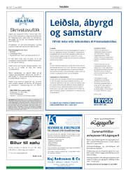 Síða 3