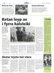 Síða 16