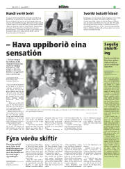 Síða 17