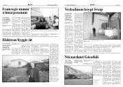 Síða 5