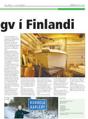 Síða 11