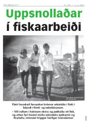 Síða 14
