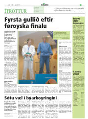 Síða 17